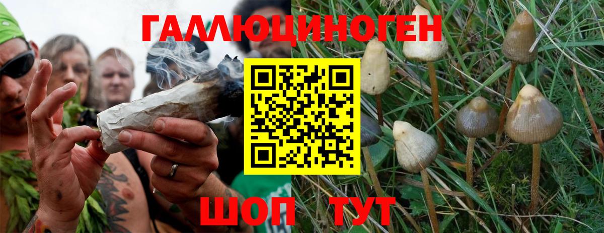 Мыски  закладка  Вход с VPN  Галлюциногенные грибы MAGIC MUSHROOMS 