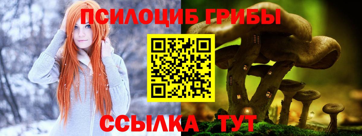 Галлюциногенные грибы ЛСД Мыски